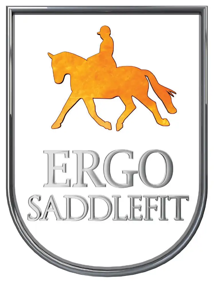 Ergo Saddlefit